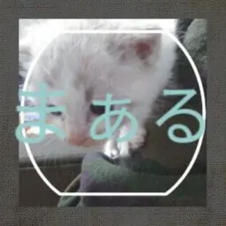 I-O DATA ビデオキャプチャー+ビデオコンバーター+sdカードリーダセット Amazon | I-O DATA HDMI usb ビデオ/VHS 8mm ダビング SDカード