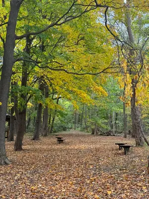 美品モッキンバードピンクエレキギター XJAPAN hide♡ソフトケース付き