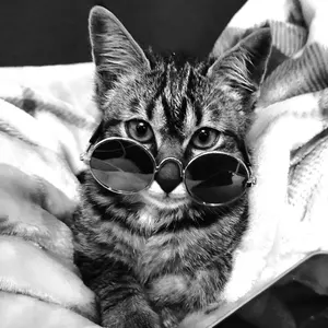 アマゾン・サンクチュアリ / 抽象画 額縁セット 63×46㎝ 原画