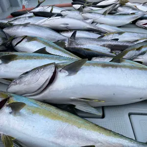 リップルフィッシャービッグツナ83 マジョーラブルーベースカスタム