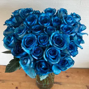 希少　遙かなる甲子園 全10巻 山本おさむ　初版 遥かなる甲子園(10) | 山本おさむ |本 | 通販 | Amazon