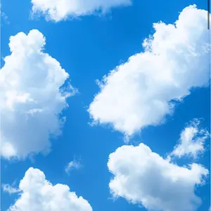 kairo（プロフお読み下さい）