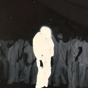 コレクション整理