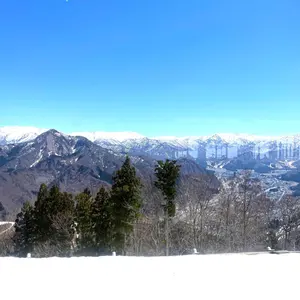大特価 希少 鯉 掛軸 能島康明 値下げ交渉可能 - メルカリ 大特価 希少 鯉 掛軸 能島康明 値下げ交渉可能 - メルカリ