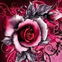 Acid Black Cherry [未開封]クリアファイル13点セット - メルカリ