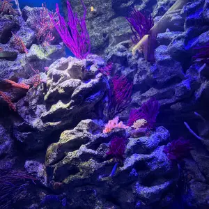 至急購入求】wlmouse ying 影 black 値下げ可 - メルカリ