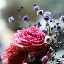 ♡marin♡リピ割り❤️まとめ割あり様専用ページ - メルカリ