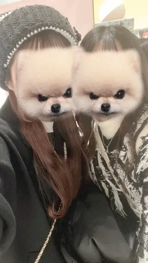 bunnylis NoGenki ファーボレロ×チェックミニワンピース - メルカリ bunnylis NoGenki ファーボレロ×チェックミニワンピース - メルカリ