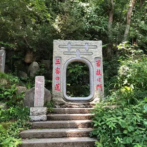 だ*ほ様 アイピーセレクト 軟式 内野手用 小園 カープ 限定 - メルカリ