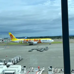 アトリエピエロ ネイビー classical dot stripe dress - メルカリ