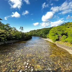 松永朱泥龍仙人文桃型水滴急須1-3 - メルカリ