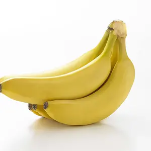 G*X様 2023 ピカチュウ #008 GEM MT 10 - メルカリ