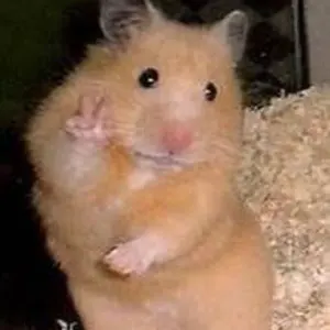 値下げ可能】 treasure ジフン トレカ ラキドロ オグリ ナムコウ