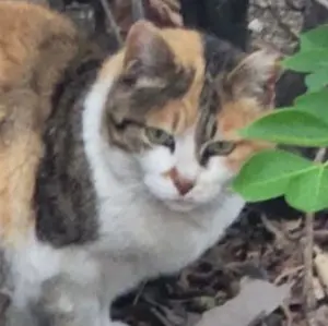 【新品・未開封】Talk! with BTS 【motipenセット】 新品・未開封】Talk! with BTS 【motipenセット】 - メルカリ