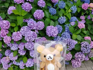 コリラックマ ごゆるりぬいぐるみ 5th ANNIVERSARY | Mercari コリラックマ ごゆるりぬいぐるみ 5th ANNIVERSARY | Mercari