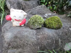 テ*ー様 ドイツ製　マウテ　グランドファザークロック　振り子付き テ*ー様 ドイツ製 マウテ グランドファザークロック 振り子付き - メルカリ