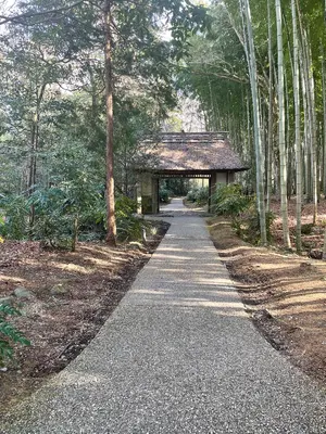 自然釉陶器皿配木盒約10cm 猿投山盃古董‐ Mercari 日本最大二手網購平台