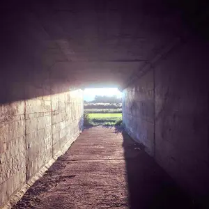 マルチcx 16 ゴーセン ロールガット 残り16針分 - メルカリ マルチcx 16 ゴーセン ロールガット 残り16針分 - メルカリ