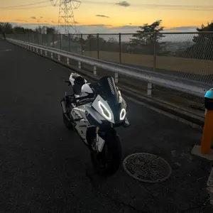 レクサスRC スリーキャッツ 100Φ 4本出しストレートマフラー - メルカリ