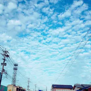 キングダム×有田焼】「思いの火」皿 ー 麃公 ー - メルカリ
