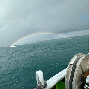 PROJEBIR プロジェビア Large Jade Ring リング - メルカリ