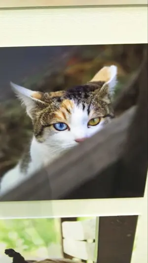 スン