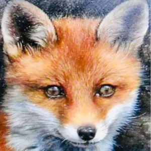 ハニチェリ様専用SnowManラウールクッションカバー1580円 - メルカリ