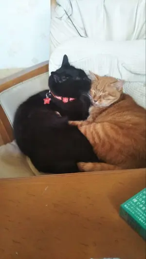 TAKAYO NAKAJO