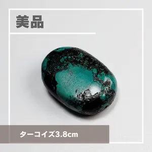 ターコイズ・プロジェクト