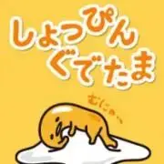 ✽専用です✽　SBC 湘南美容外科 アミュレット 着圧ガードル Ｌ Amulet - 湘南美容外科 アミュレットガードル 2枚セット 圧着 着