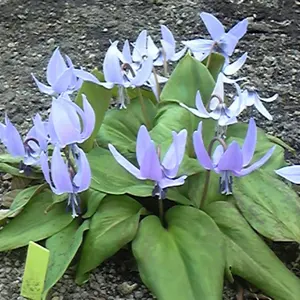 RAN_RAN(断捨離中)