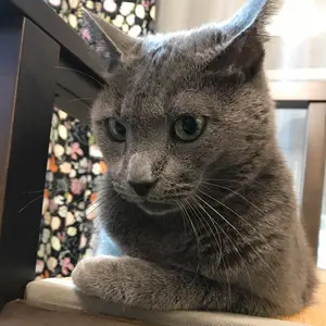 韓国限定 ディズニー Mundo Pixar ボールペン 3つ - メルカリ