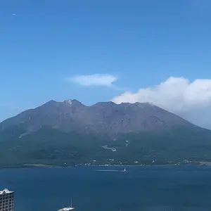 やきいかくん