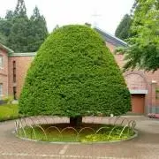 村田宏作 高岡銅器 香爐 こうろ 伝統工芸品 獅子 縁起物 - メルカリ