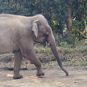 放送機器 アラームオシレータープリアンプ部 【ジャンク】 - メルカリ