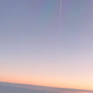 the 奥歯's 拝啓、急にいなくなった君へ - メルカリ