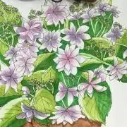美品】セシカブルー チェック柄 薄手 フード付きスプリング ライト