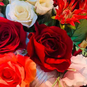 プロフ要確 BX-00 コバルトドレイク4-60F & スタジアムナイロンバッグ