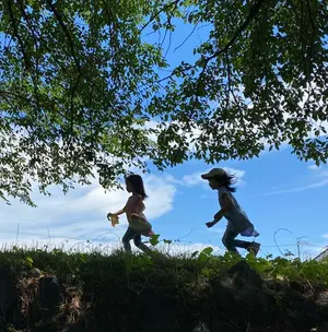 世界の水草 3冊セット 山崎美津夫 山田 洋 ハロウ出版 山崎氏の