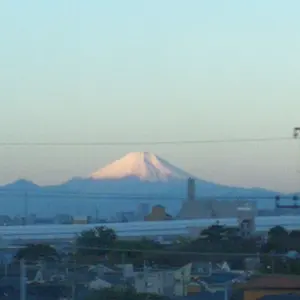 希少【新品未使用 特別生産品】ワイルドスワンズ タング