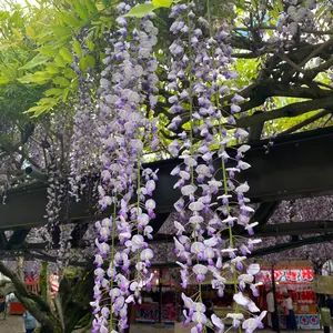 蜂人舎】南房総の里山はちみつ 春採れ蜜 500mg 3本セット - メルカリ