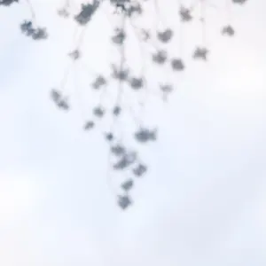 サマポケRB 神山識 サイン入り色紙 - メルカリ