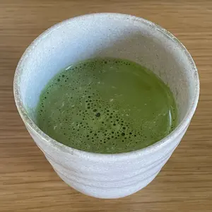 RENOVO ナリッシュメント ヴィラロドラ 頭皮トリートメント レノーボ