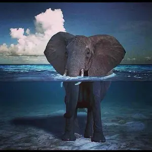 ヨリ君様専用 デジーノステルステクニカルDS6-SJ63ULR2 - メルカリ