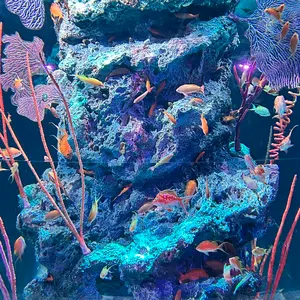 相談専用 ドラゴンブレス マリンプランツ 光る海藻 海水魚用 - メルカリ