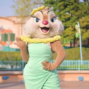 40周年 パスケース ディズニー メモリーゴーラウンド ラゲッジタグ 2点 