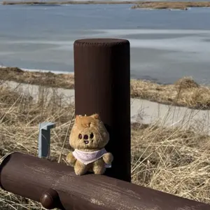 猫さん様 リクエスト 2点 まとめ商品 猫様 リクエスト 2点 まとめ商品 ねこ様 リクエスト 2点 まとめ