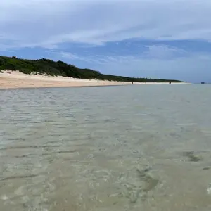 宝永/宝永四ツ宝丁銀/225g/大型/11面/大黒丁銀/希少 - メルカリ