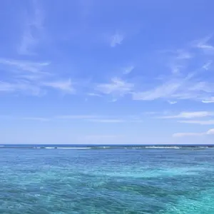 限定】空山基×Pornhub(ポーンハブ ポルノハブ) コラボ・キーホルダー