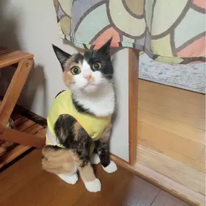 sti.ver2.555様専用 田植機 除草剤散布機 - メルカリ